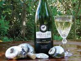 Walker Bay Wine Route