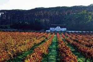 Wine Estates - Paarl