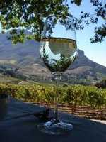 Wine Estates - Stellenbosch