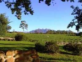 Wine Estates - Wellington