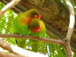 World of Birds Wildlife Sanctuary and Monkey Park