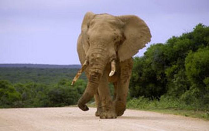 Phalaborwa