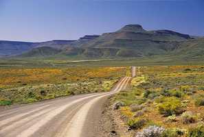 Calvinia & Surrounds