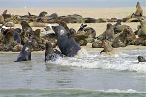 Walvis Bay