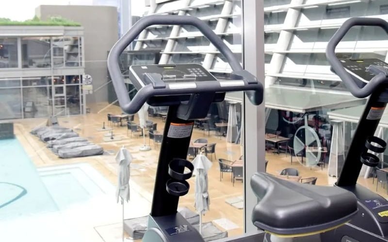 Leonardo-Gym2