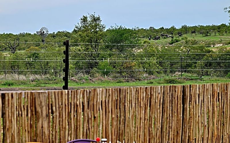 SO Orpen Gate 5