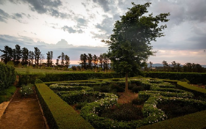 Brookdale Boutique Hotel Wine Estate