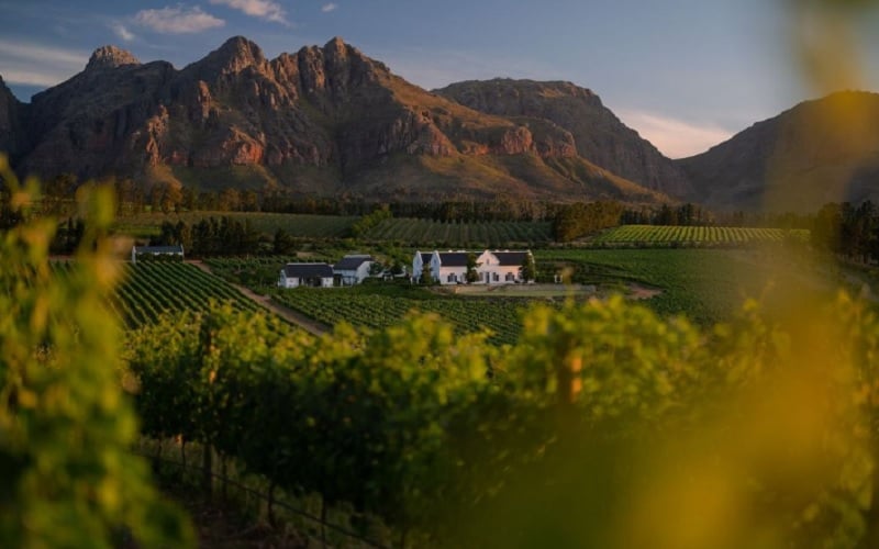 Brookdale Boutique Hotel Wine Estate