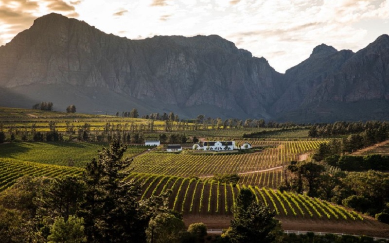 Brookdale Boutique Hotel Wine Estate