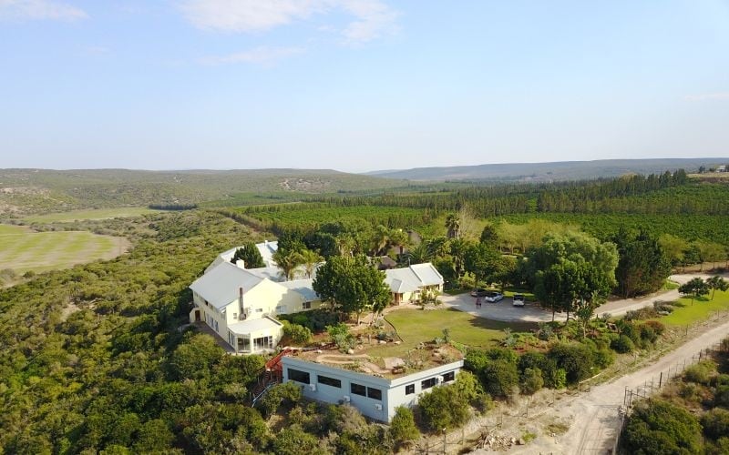 KUDUDU-Landscape2