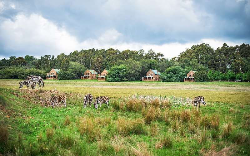 Dunkeld Country Estate in Dullstroom