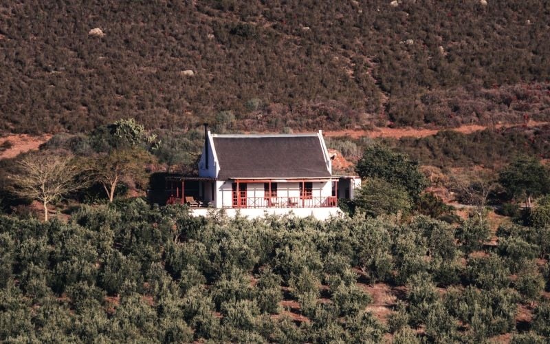 OrangeGroveF-Cottage4