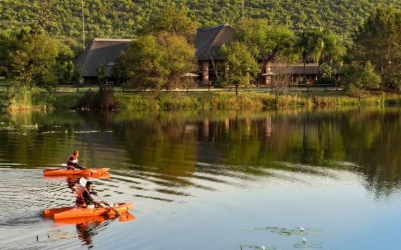 Kayak