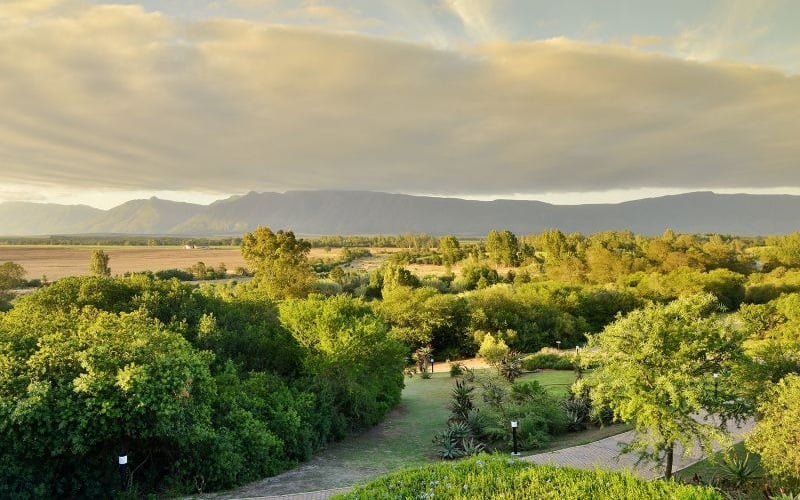 Stonehill River Lodge