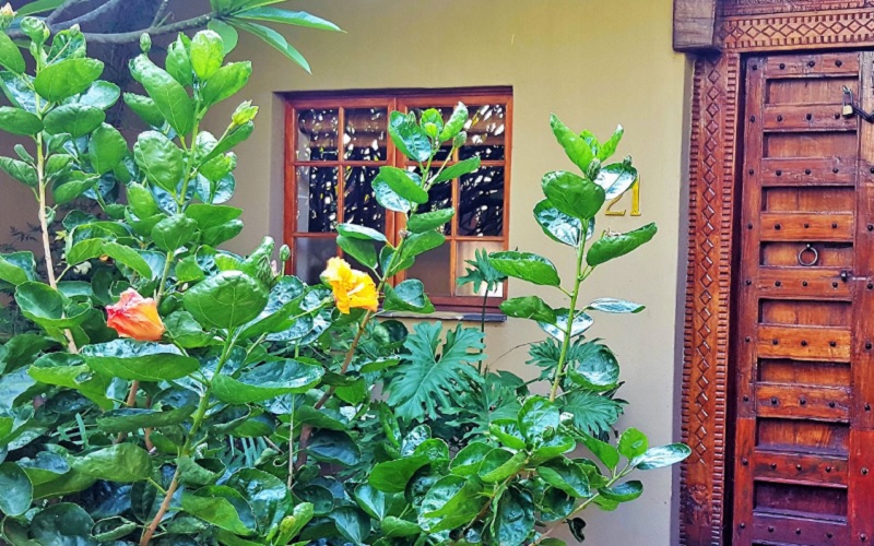 African Roots Guest House