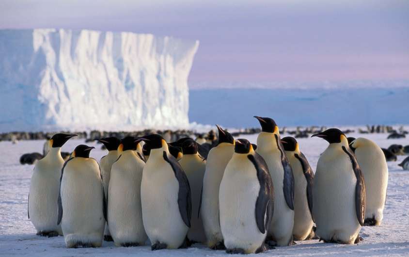 Antarctica Photo Safari 2020 (20 Days)