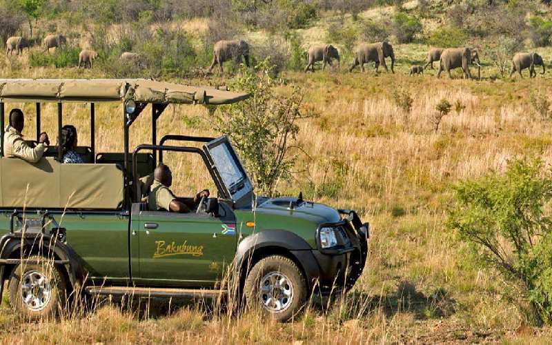 bakubung safari vehicle