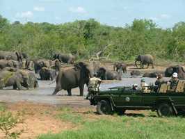 Phalaborwa & Surrounds