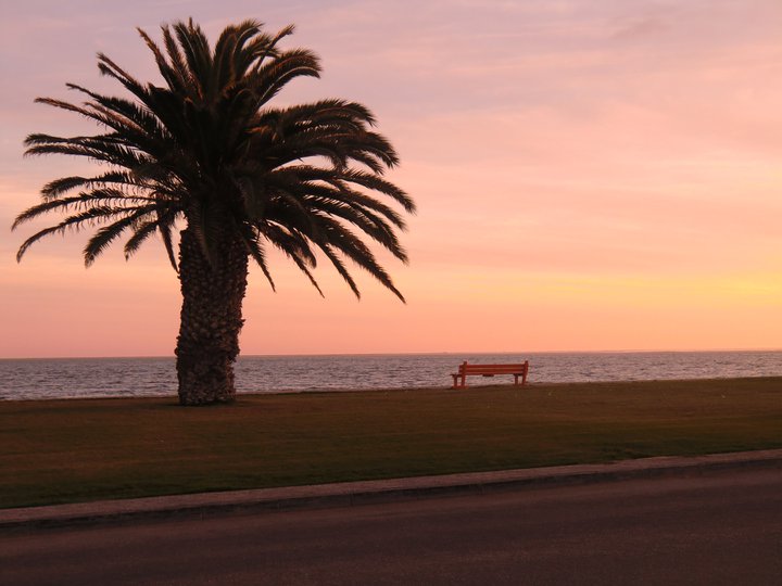 Namibian Beaches