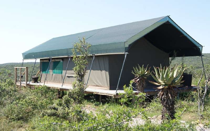 Bucklands Luxury Tented Camp
