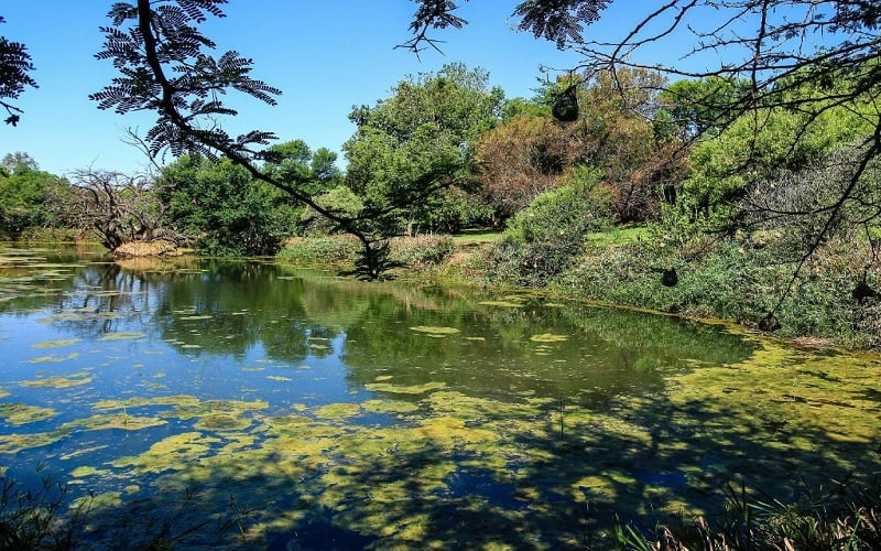 Budmarsh Country Lodge