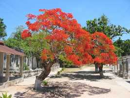 Cabo Delgado