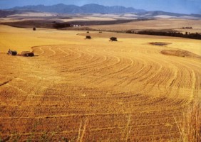 Farming near Caledon