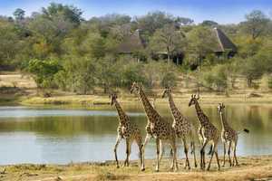 Central Kruger Park - Kruger Gate; Orpen Gate