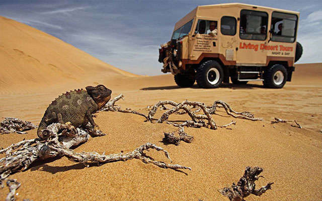 The Flamingo Villas Boutique Hotel, Walvis Bay, Namibia