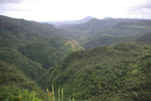 Gorges de la Riviere Noire Western Mauritius