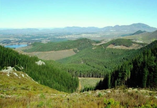 The Elgin Valley - Grabouw