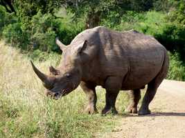 Hluhluwe Game Reserve