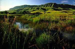 Southern Drakensberg
