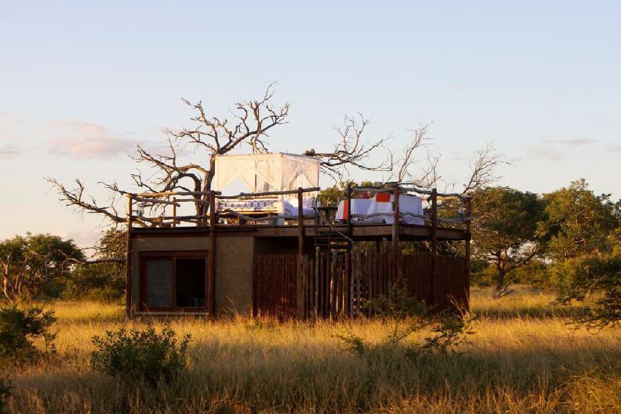 kapama safari