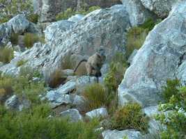 Kleinmond