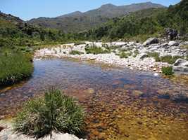 Cape Winelands