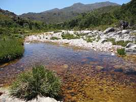 Cape Winelands