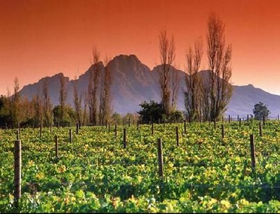 Stellenbosch