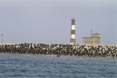 Walvis Bay