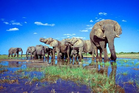 Etosha National Park