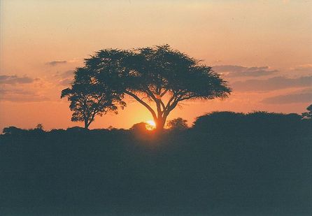 Victoria Falls & Surroundings