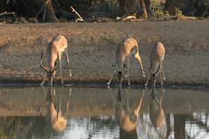 Francistown & Western Botswana
