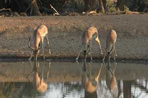 Francistown & Western Botswana