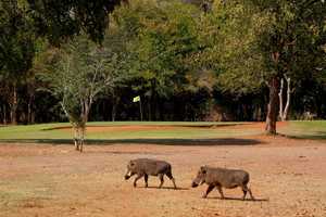 Matabeleland North