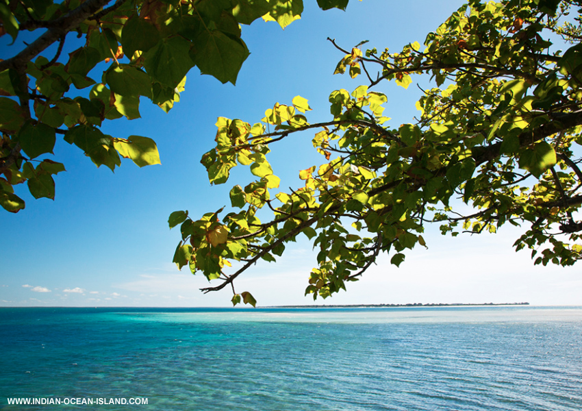 Mozambique