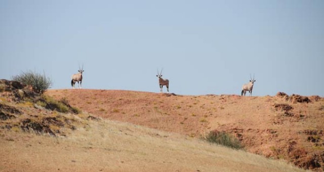 Desert in Namibia