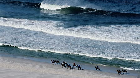 Horse Riding on the Beach