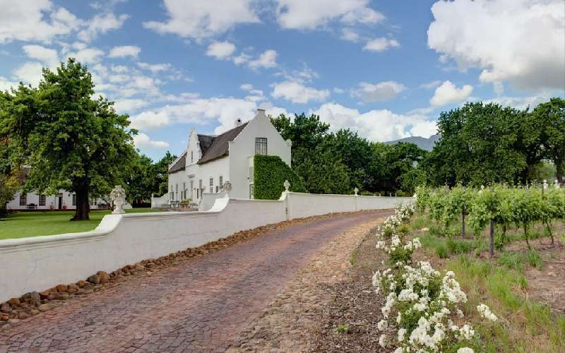 Palmiet Valley Estate, Cape Winelands