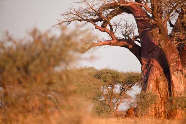 Masvingo landscapes