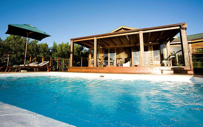 The Elephant Hide of Knysna Guest Lodge